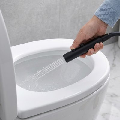Douchette toilette tuyau extensible noir, poignée design, accroche rapide, double bouton, jet fort